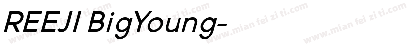 REEJI BigYoung字体转换